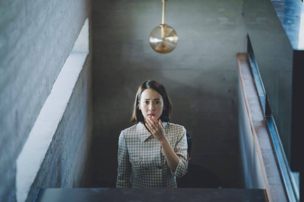 Mrs Park (Parasite 2019)